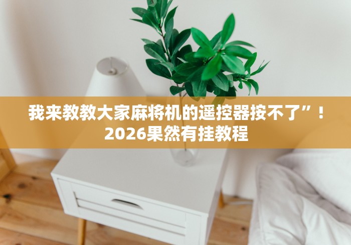 必学玩家攻略“安装四口麻将机遥控器”(原来确实是有插件) 