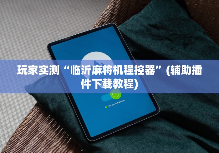 玩家实测“临沂麻将机程控器”(辅助插件下载教程)