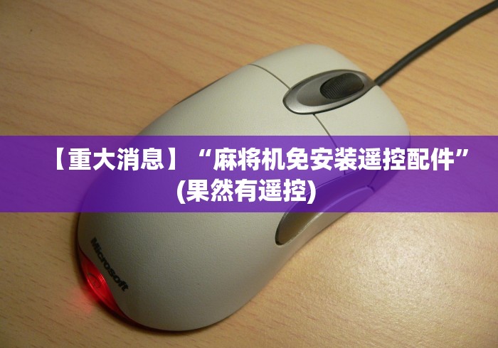 【重大消息】“麻将机免安装遥控配件”(果然有遥控) 【重大消息】“麻将机免安装遥控配件”(果然有遥控)