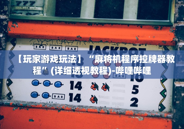 【玩家游戏玩法】“麻将机程序控牌器教程”(详细透视教程)-哔哩哔哩