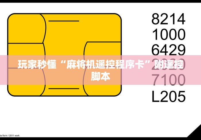 玩家秒懂“麻将机遥控程序卡”附遥控脚本 玩家秒懂“麻将机遥控程序卡”附遥控脚本