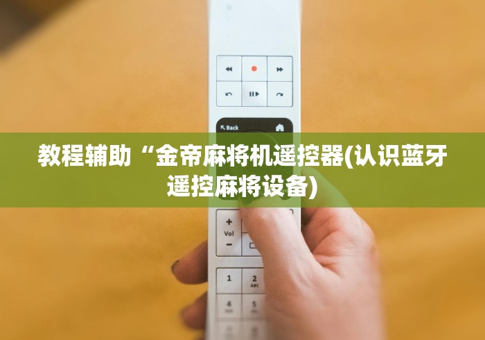 7分钟揭秘麻将机遥控控制器”其实确实有挂