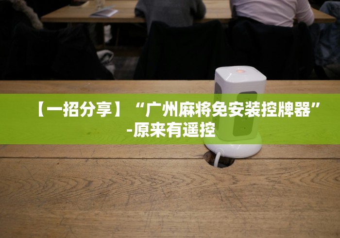 【一招分享】“广州麻将免安装控牌器”-原来有遥控