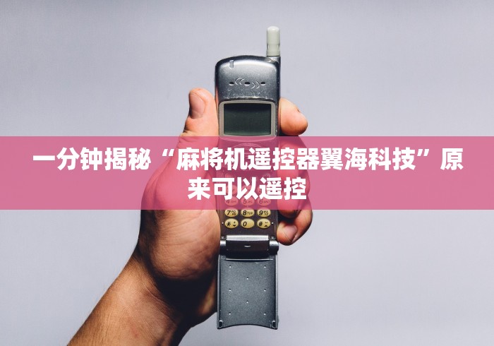 一分钟揭秘“麻将机遥控器翼海科技”原来可以遥控