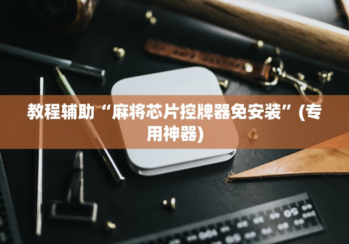 教程辅助“麻将芯片控牌器免安装”(专用神器)