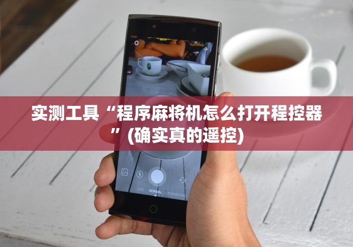 实测工具“程序麻将机怎么打开程控器”(确实真的遥控) 实测工具“程序麻将机怎么打开程控器”(确实真的遥控)