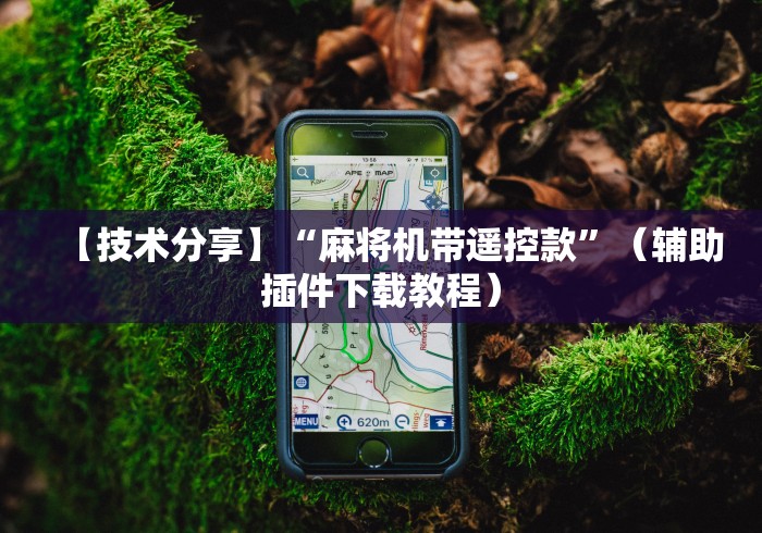 【技术分享】“麻将机带遥控款”（辅助插件下载教程）