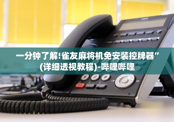 一分钟了解!雀友麻将机免安装控牌器”(详细透视教程)-哔哩哔哩