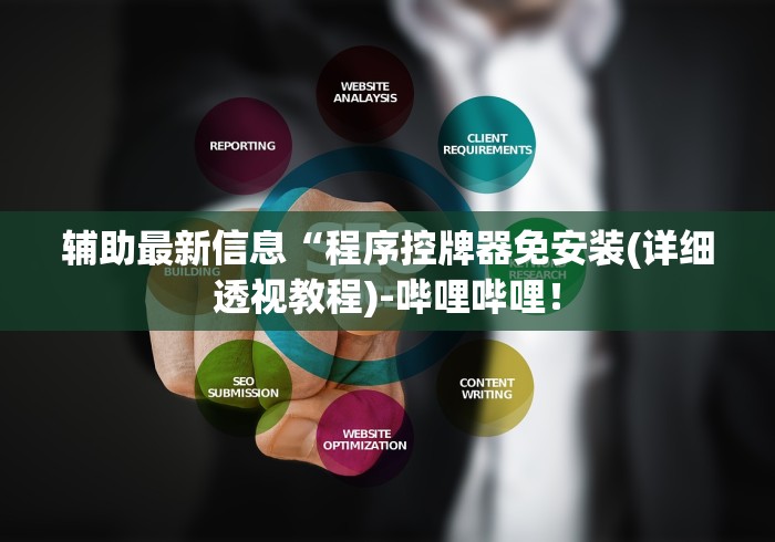 辅助最新信息“程序控牌器免安装(详细透视教程)-哔哩哔哩！
