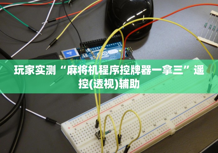 玩家实测“麻将机程序控牌器一拿三”遥控(透视)辅助