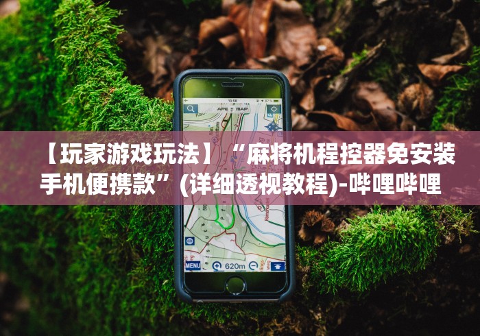 【玩家游戏玩法】“麻将机程控器免安装手机便携款”(详细透视教程)-哔哩哔哩