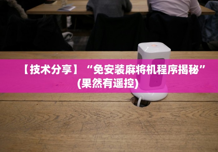 【技术分享】“免安装麻将机程序揭秘”(果然有遥控) 