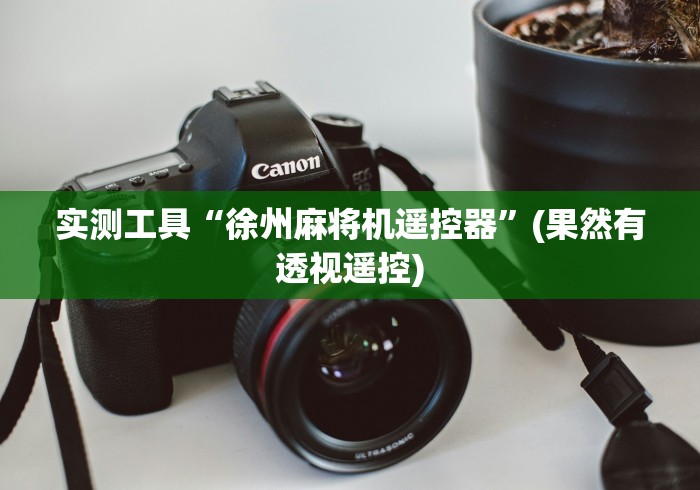 实测工具“徐州麻将机遥控器”(果然有透视遥控)