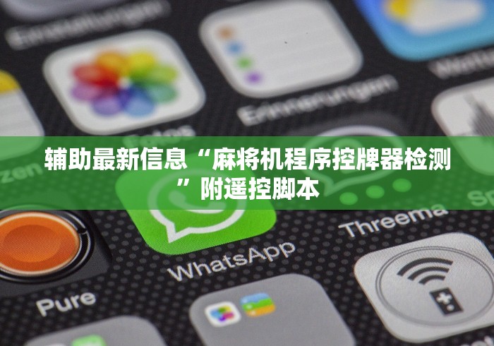 辅助最新信息“麻将机程序控牌器检测”附遥控脚本 辅助最新信息“麻将机程序控牌器检测”附遥控脚本