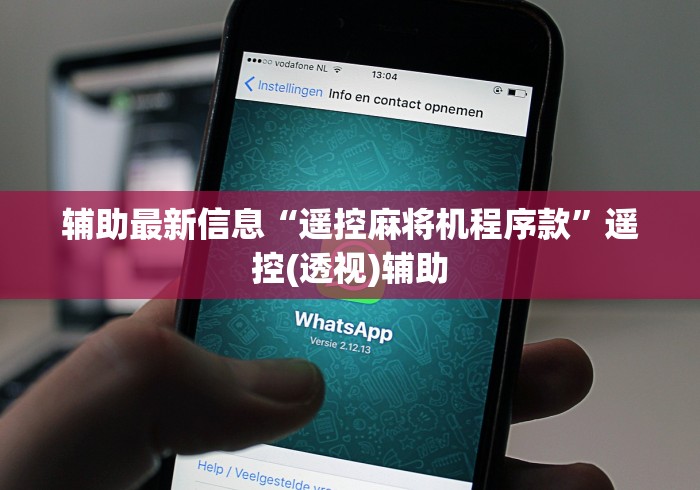 辅助最新信息“遥控麻将机程序款”遥控(透视)辅助