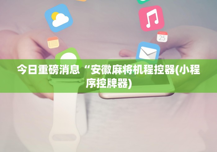 今日重磅消息“安徽麻将机程控器(小程序控牌器)