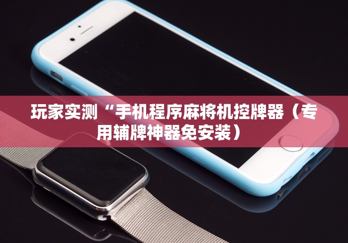 玩家实测“手机程序麻将机控牌器（专用辅牌神器免安装） 