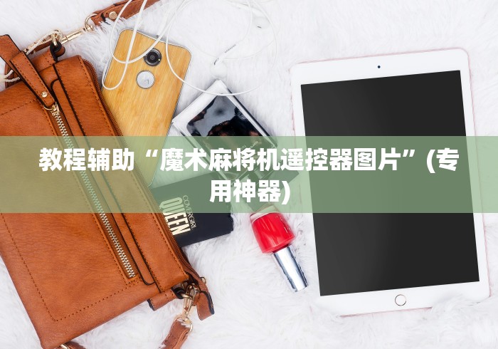 教程辅助“魔术麻将机遥控器图片”(专用神器) 教程辅助“魔术麻将机遥控器图片”(专用神器)