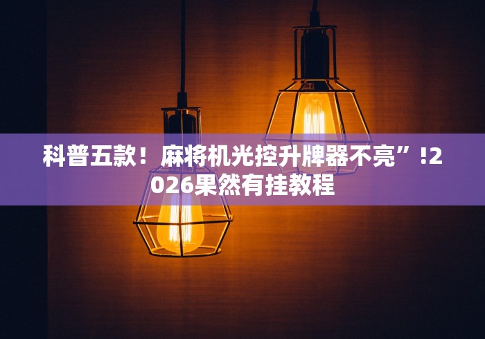 科普五款！麻将机光控升牌器不亮”!2026果然有挂教程
