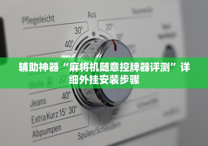 辅助神器“麻将机随意控牌器评测”详细外挂安装步骤