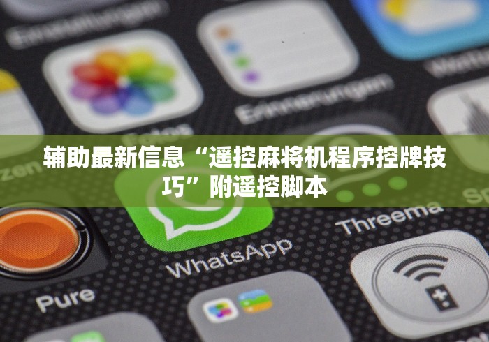 辅助最新信息“遥控麻将机程序控牌技巧”附遥控脚本