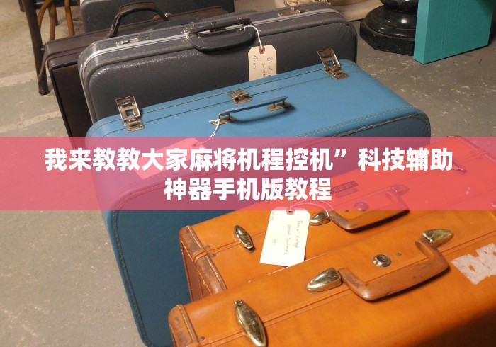 我来教教大家麻将机程控机”科技辅助神器手机版教程