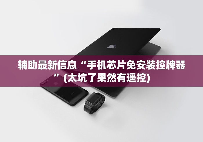 辅助最新信息“手机芯片免安装控牌器”(太坑了果然有遥控)