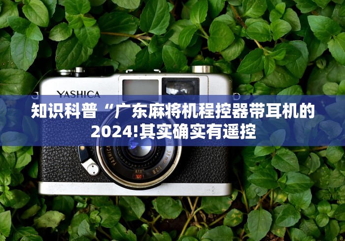 实测工具“怎么识别带遥控麻将机!太坑人了“原来有猫腻-知乎