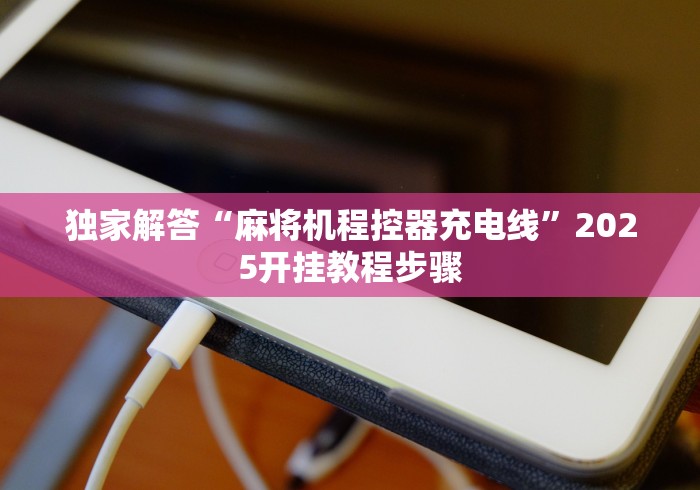 独家解答“麻将机程控器充电线”2025开挂教程步骤