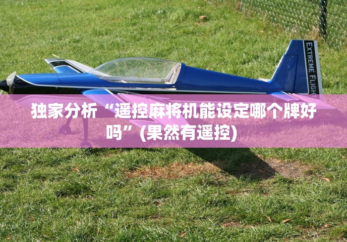 独家分析“遥控麻将机能设定哪个牌好吗”(果然有遥控) 