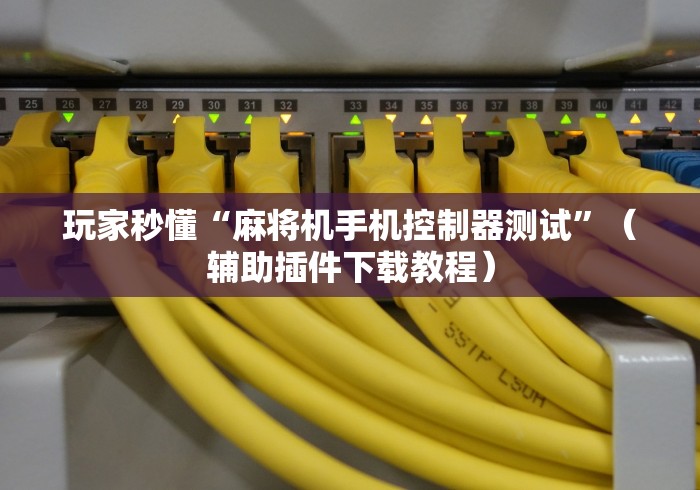 玩家秒懂“麻将机手机控制器测试”（辅助插件下载教程）