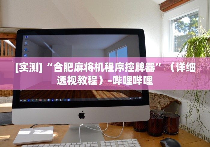 [实测]“合肥麻将机程序控牌器”（详细透视教程）-哔哩哔哩