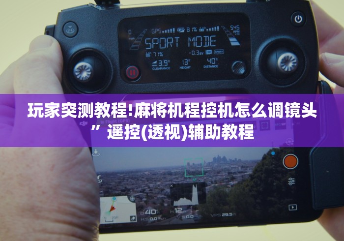 玩家突测教程!麻将机程控机怎么调镜头”遥控(透视)辅助教程