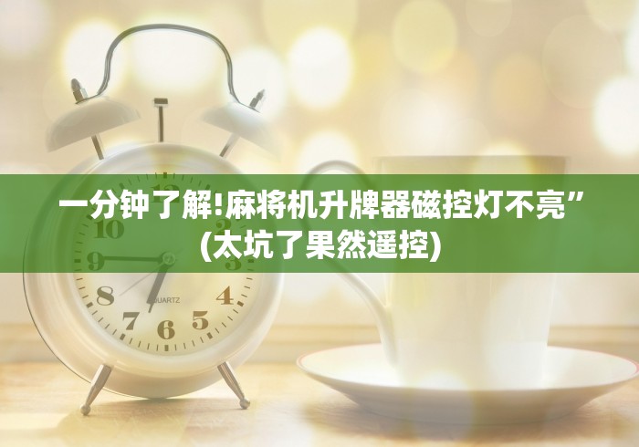 一分钟了解!麻将机升牌器磁控灯不亮”(太坑了果然遥控)