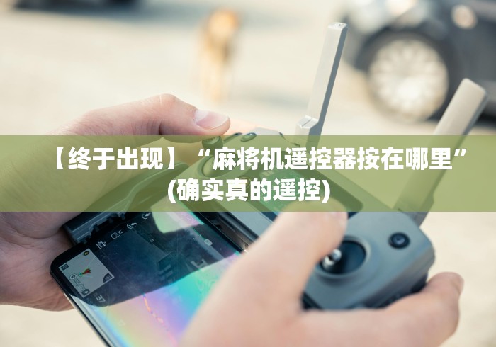 【终于出现】“麻将机遥控器按在哪里”(确实真的遥控) 【终于出现】“麻将机遥控器按在哪里”(确实真的遥控)