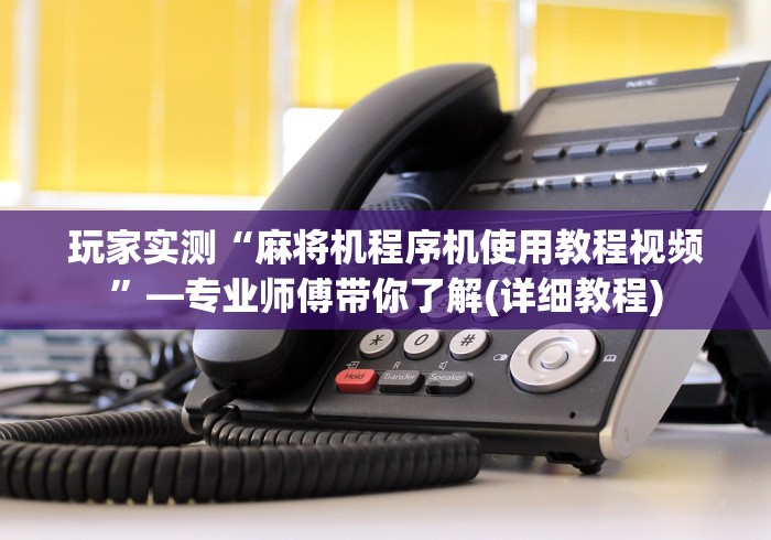 玩家实测“麻将机程序机使用教程视频”—专业师傅带你了解(详细教程)