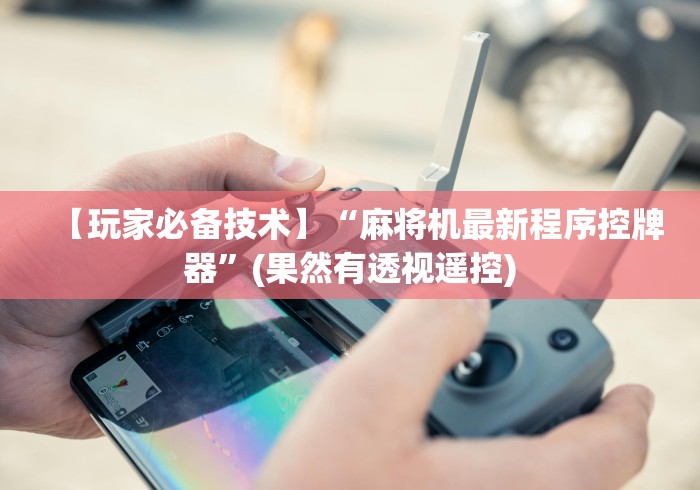 【玩家必备技术】“麻将机最新程序控牌器”(果然有透视遥控)