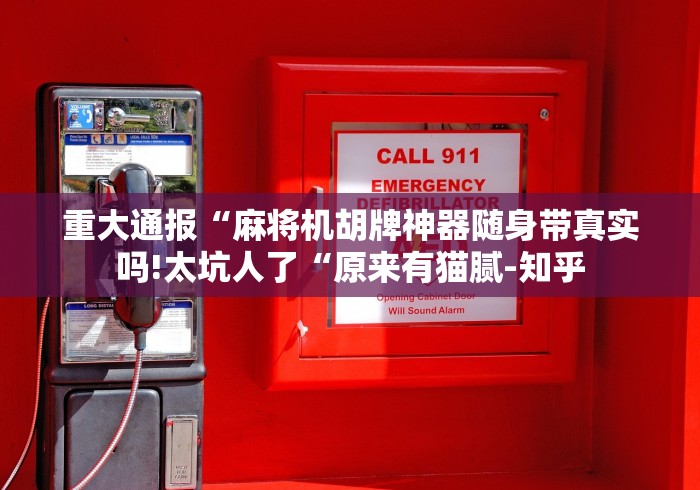 重大通报“麻将机胡牌神器随身带真实吗!太坑人了“原来有猫腻-知乎