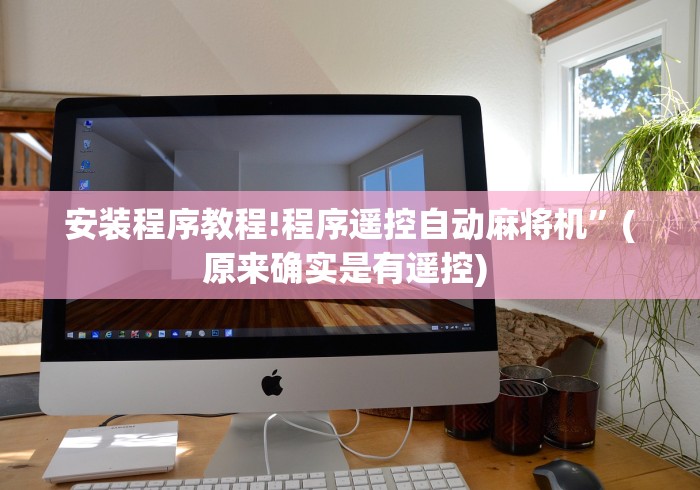 安装程序教程!程序遥控自动麻将机”(原来确实是有遥控) 