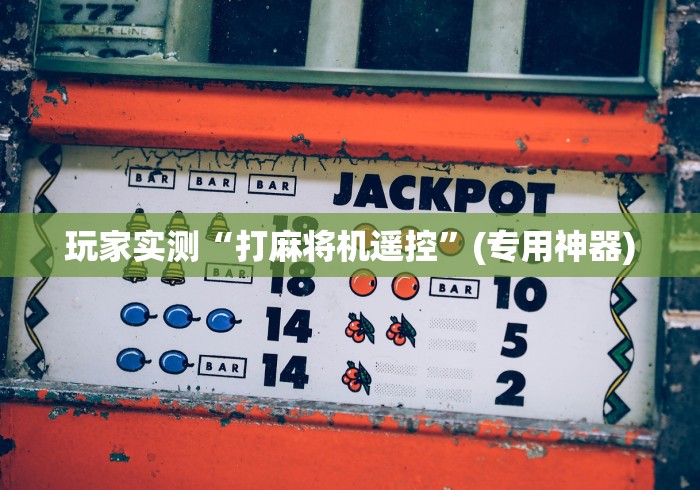 玩家实测“打麻将机遥控”(专用神器)