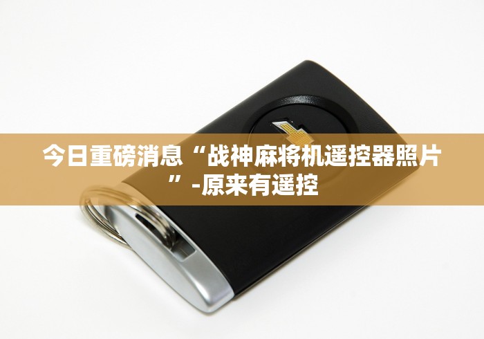 今日重磅消息“战神麻将机遥控器照片”-原来有遥控