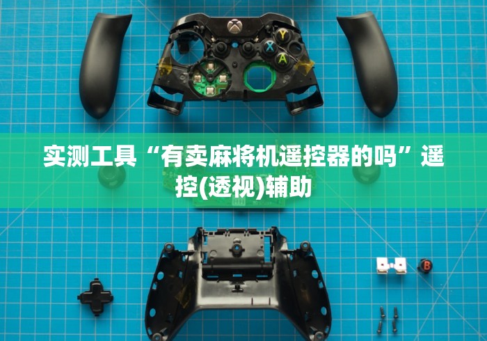 实测工具“有卖麻将机遥控器的吗”遥控(透视)辅助