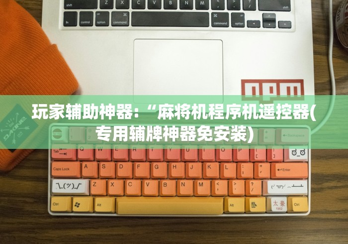 玩家辅助神器:“麻将机程序机遥控器(专用辅牌神器免安装)