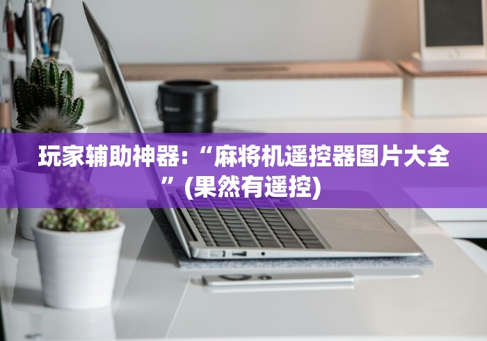 玩家辅助神器:“麻将机遥控器图片大全”(果然有遥控) 