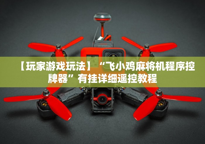 【玩家游戏玩法】“飞小鸡麻将机程序控牌器”有挂详细遥控教程 【玩家游戏玩法】“飞小鸡麻将机程序控牌器”有挂详细遥控教程