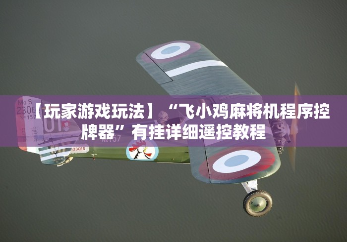 【玩家游戏玩法】“飞小鸡麻将机程序控牌器”有挂详细遥控教程 【玩家游戏玩法】“飞小鸡麻将机程序控牌器”有挂详细遥控教程