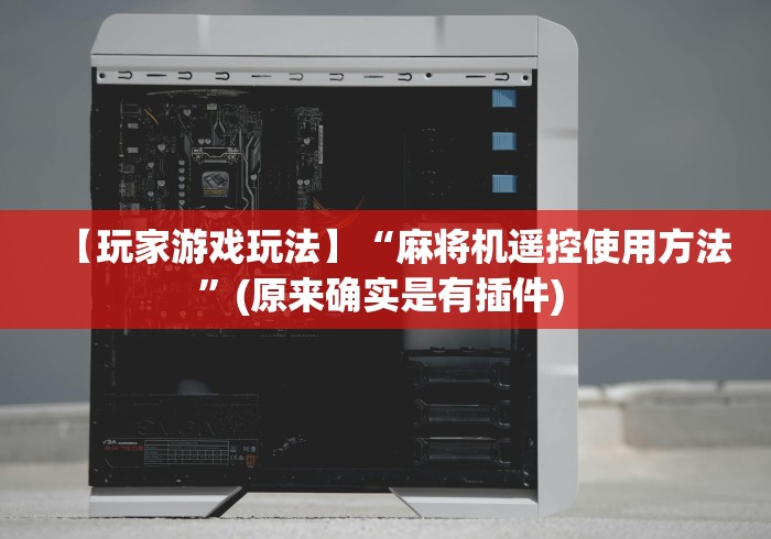 【玩家游戏玩法】“麻将机遥控使用方法”(原来确实是有插件) 