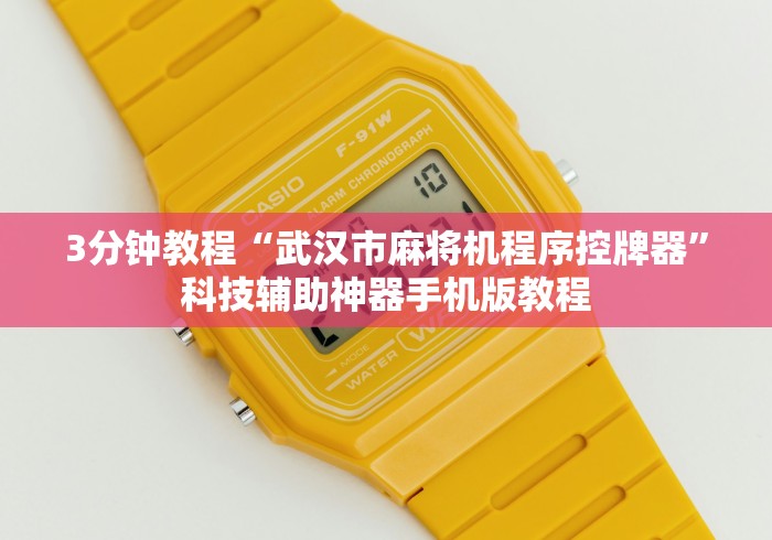 3分钟教程“武汉市麻将机程序控牌器”科技辅助神器手机版教程