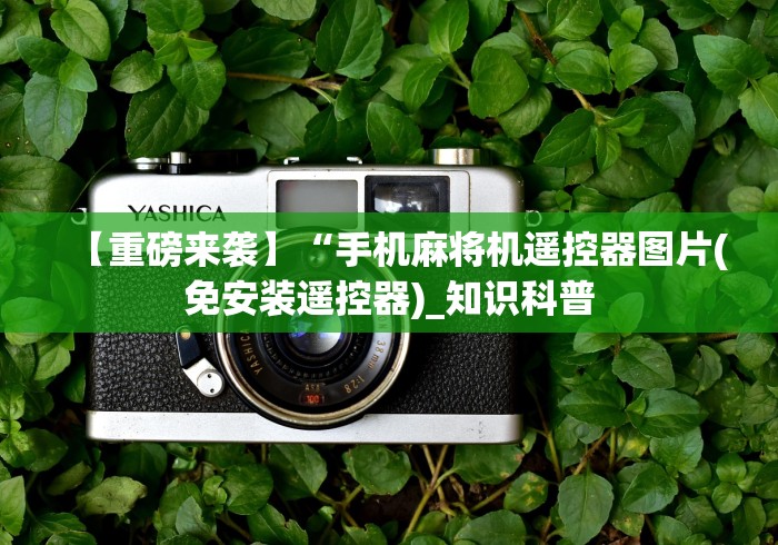 【重磅来袭】“手机麻将机遥控器图片(免安装遥控器)_知识科普 【重磅来袭】“手机麻将机遥控器图片(免安装遥控器)_知识科普