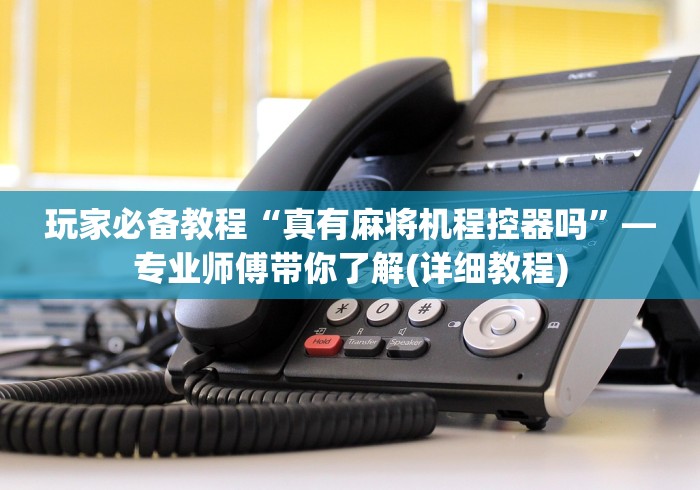 玩家必备教程“真有麻将机程控器吗”—专业师傅带你了解(详细教程) 玩家必备教程“真有麻将机程控器吗”—专业师傅带你了解(详细教程)